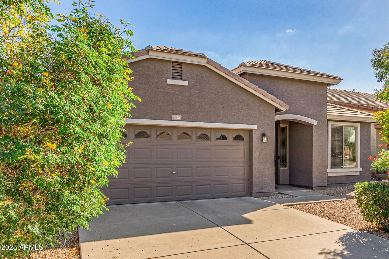 1193 Desert Hollow Drive - Photo 1