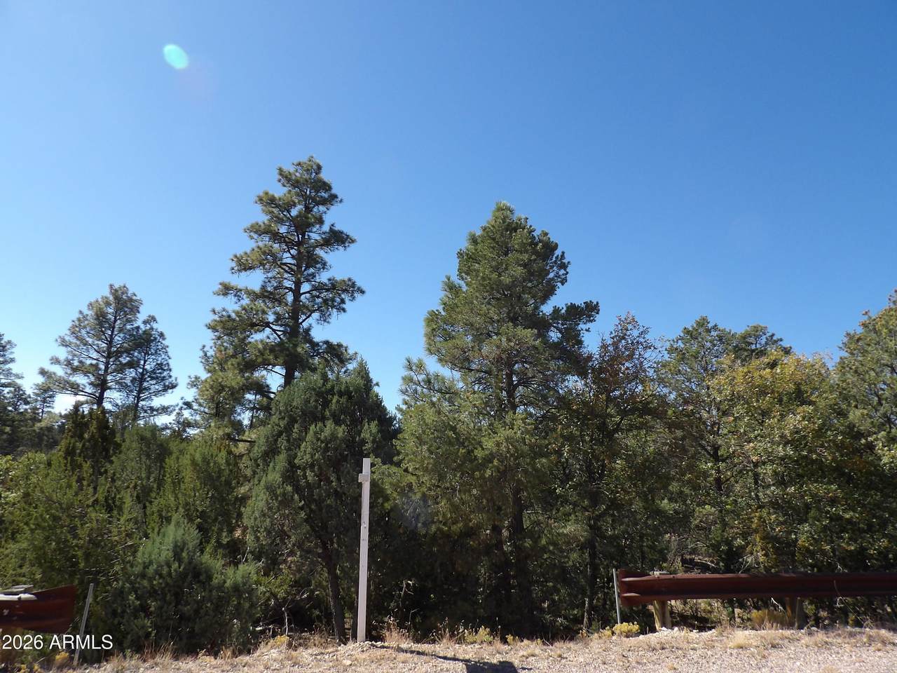 3642 Pinehurst Drive - Photo 1