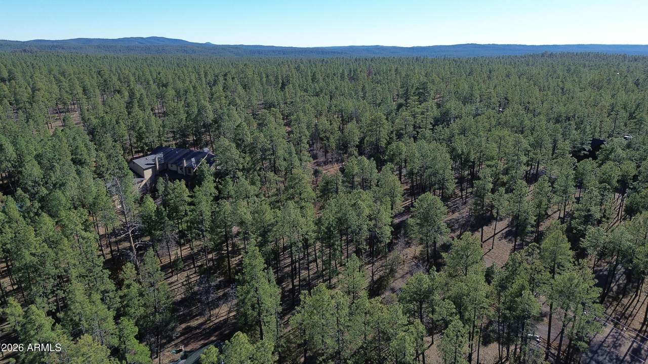 2875 Timber Pine Lane - Photo 1