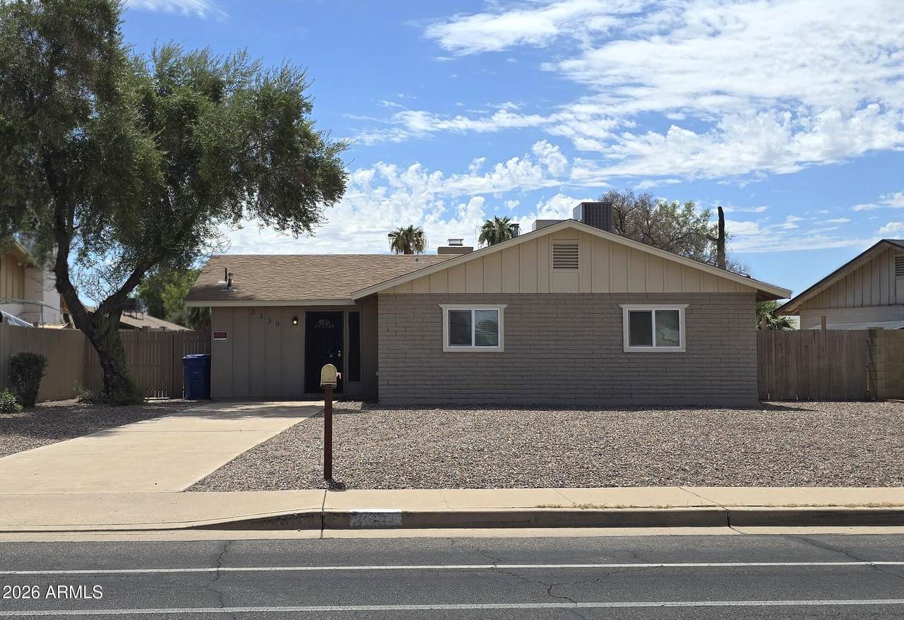 3339 Cholla Street - Photo 1