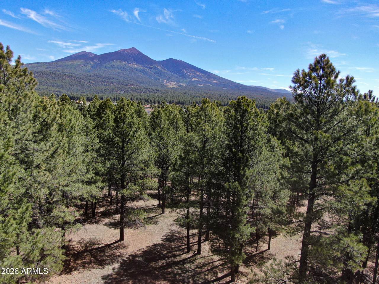8380 Vista Peak Way - Photo 1