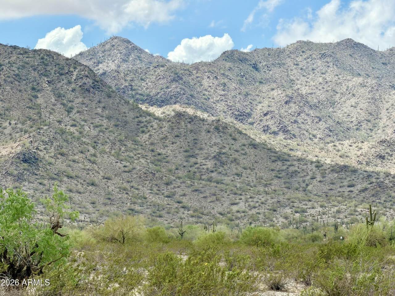 o Deer Trl Lot C 5 Acres - Photo 1