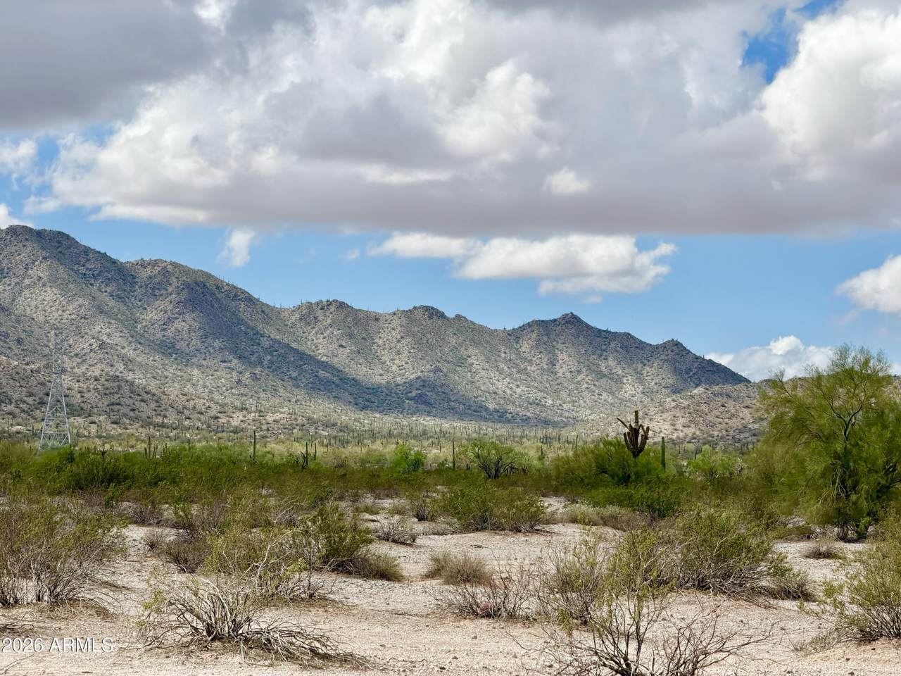0 Deer Trl Lot D 2.5 Acres - Photo 1