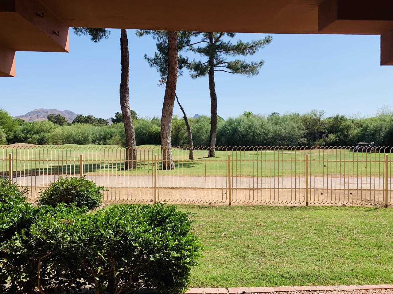 4303 Cactus Road - Photo 1