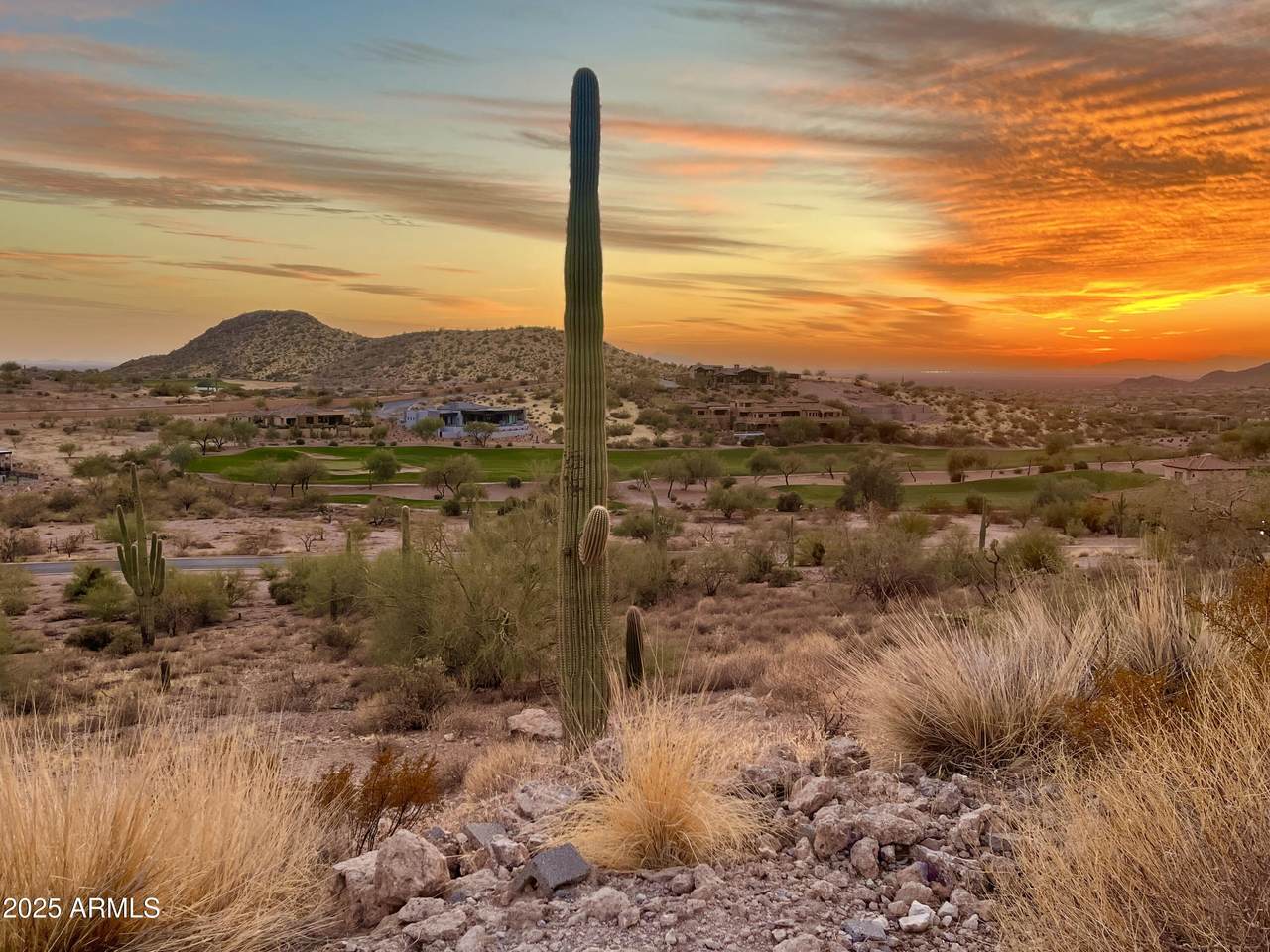 9331 Skyline Trail - Photo 1