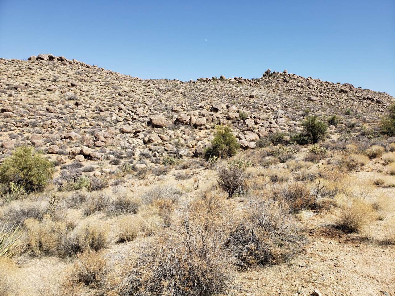 0000 Breccia Road - Photo 1