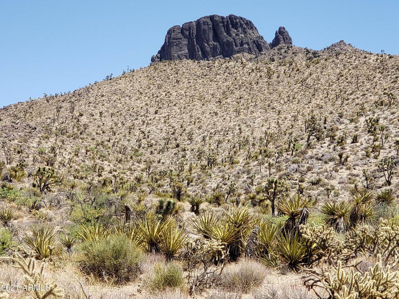 000 Mesquite Road - Photo 1