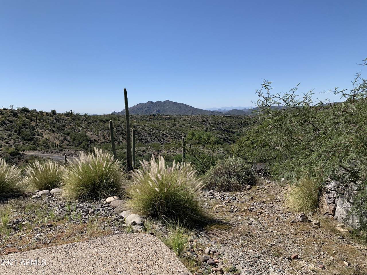 40287 Brangus Road - Photo 1