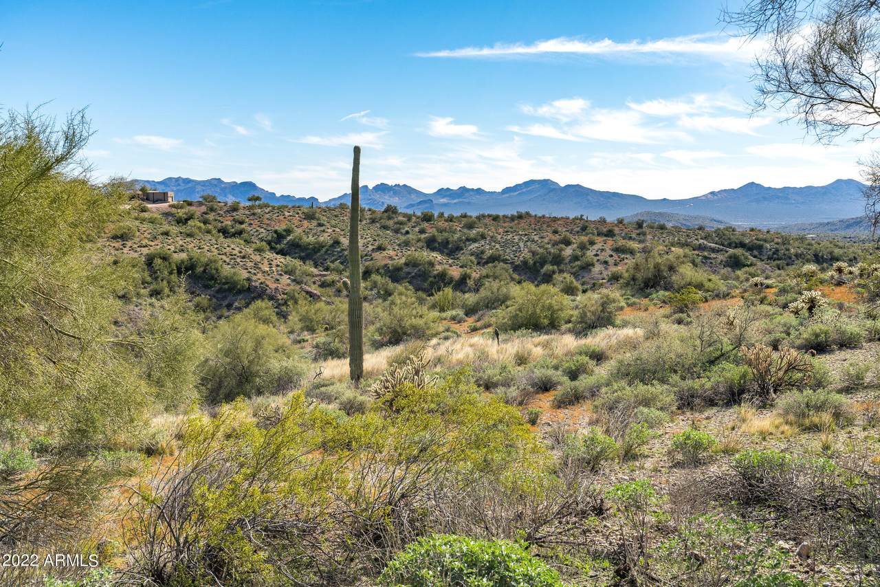 11800 Thirsty Earth Trail - Photo 1