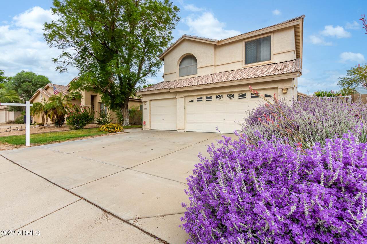 9008 Lone Cactus Drive - Photo 1