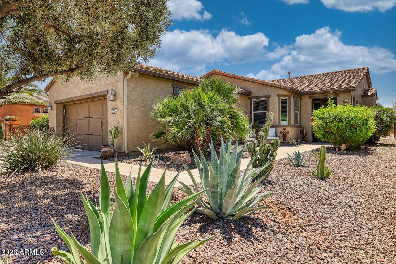 13075 Desert Vista Trail - Photo 1