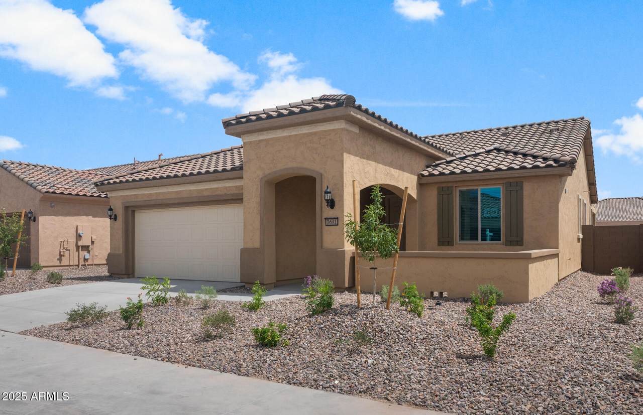 7691 Cactus Wren Way - Photo 1