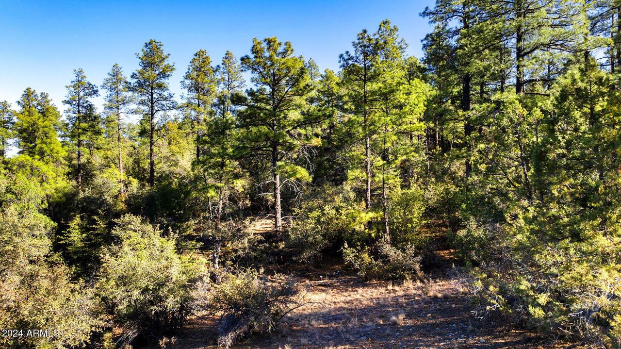 1101 White Spar Road - Photo 1