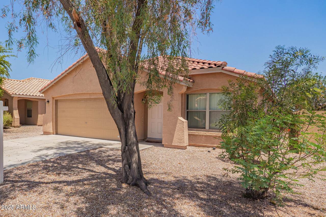 2716 Allens Peak Drive - Photo 1