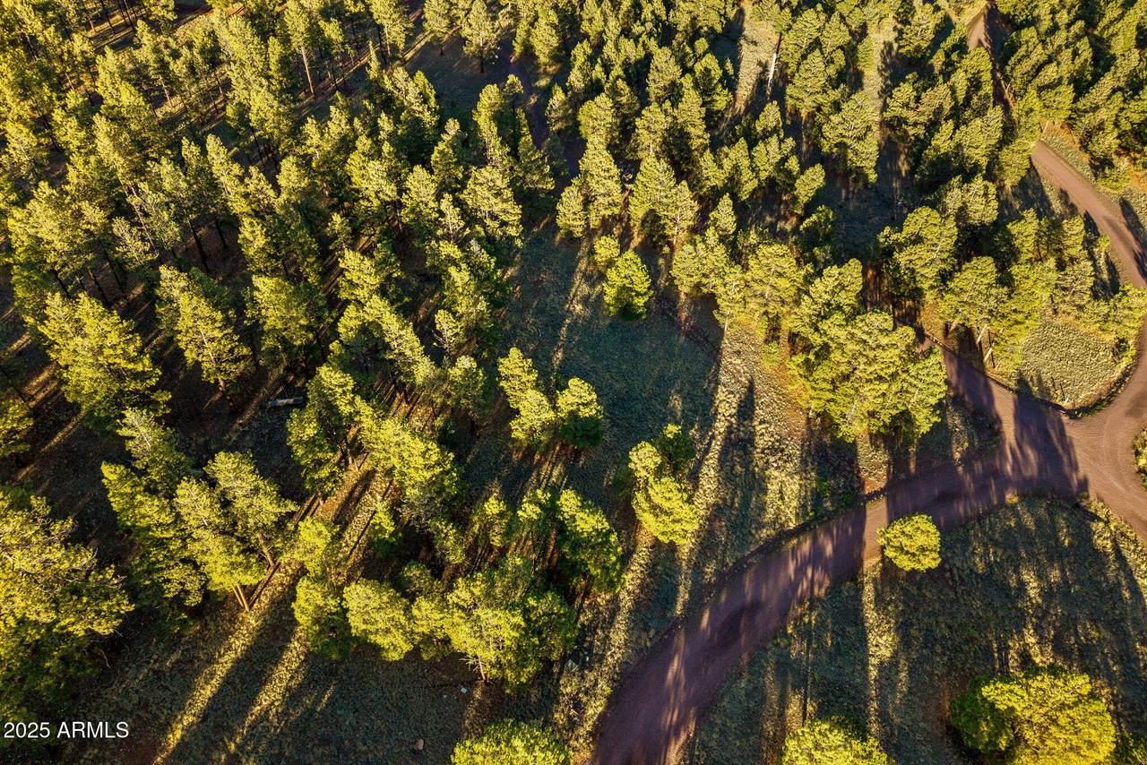 7 County Road N1332 - Photo 1