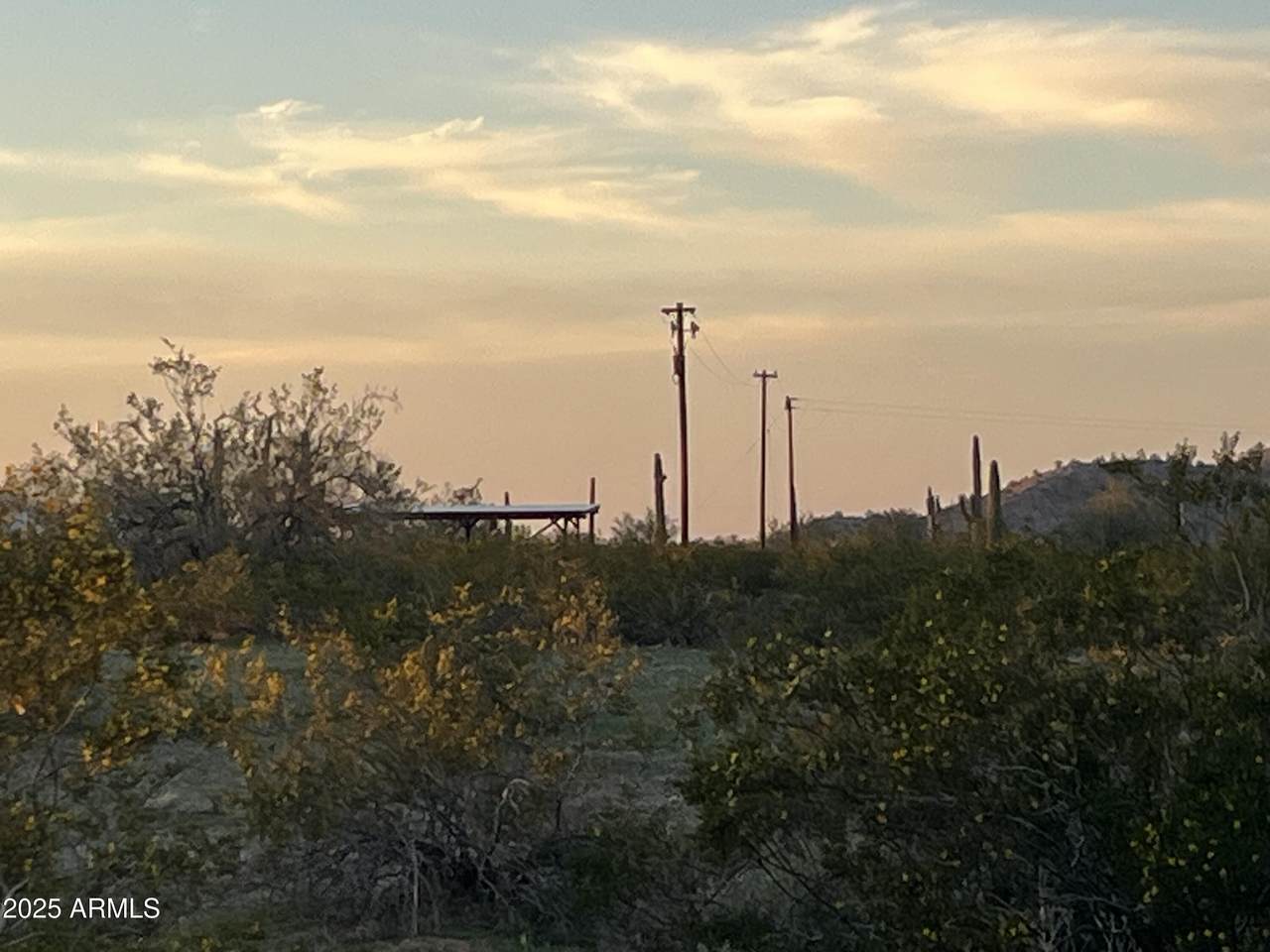 0 Liebre Rd Lot A 2.7 Acres - Photo 1