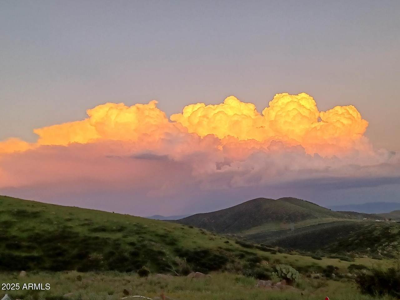 5668 Miners Pick Rd           Dewey - Photo 1