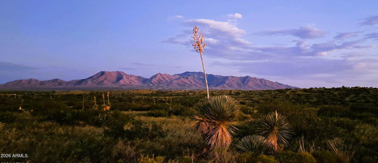 TBD Walker Ranch Road - Photo 1