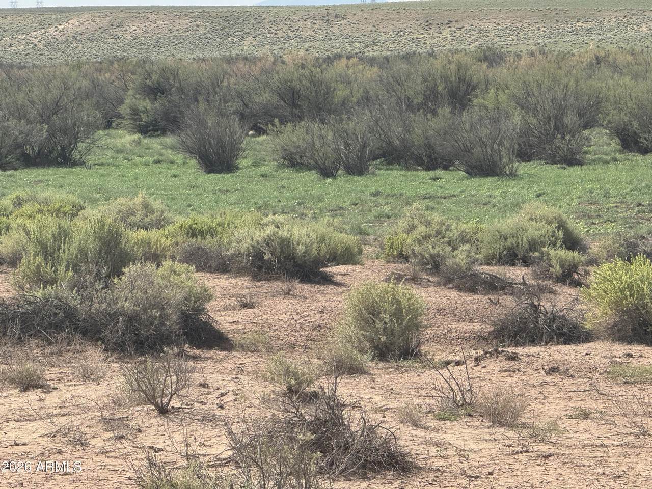 Lot 445 Carrizo Ranch - Photo 1