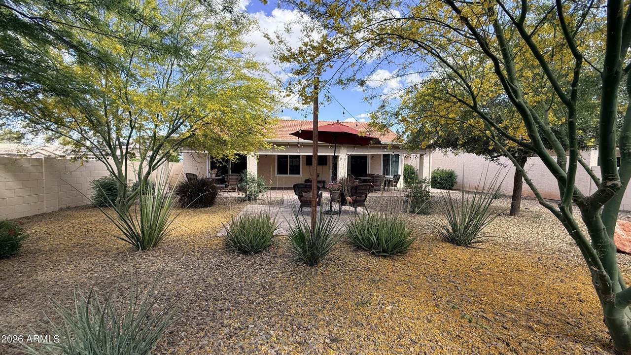 26226 Flame Tree Drive - Photo 1