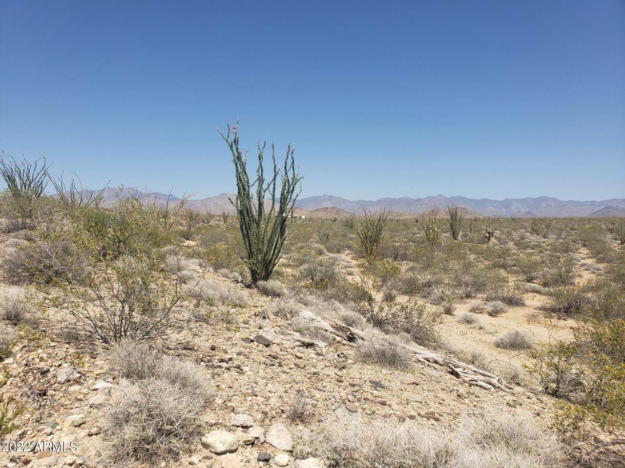000 Cortaro Road - Photo 1
