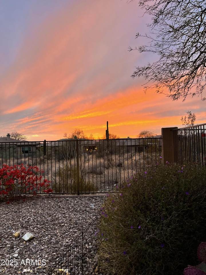 41802 Bridlewood Way - Photo 1