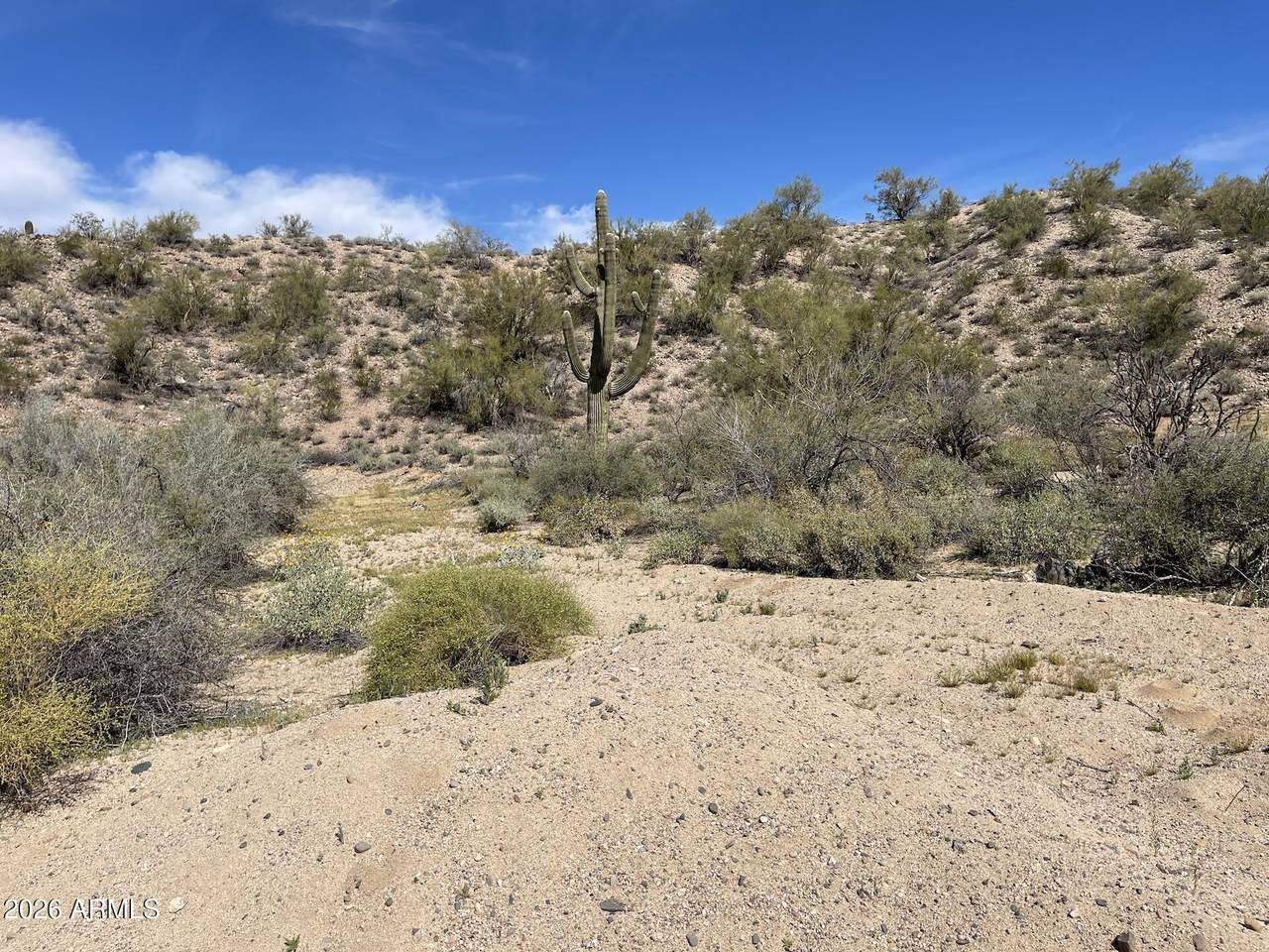 41XX3 276th Avenue - Photo 1