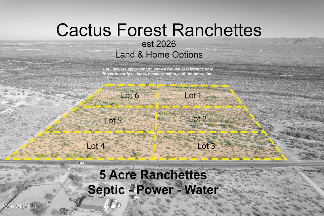 1850 Cactus Forest Road - Photo 1