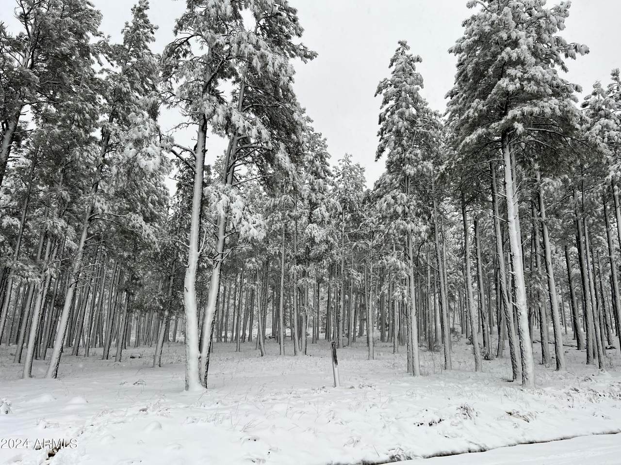 9586 Sierra Springs Way - Photo 1