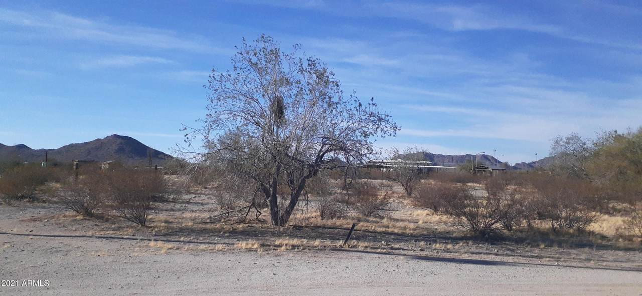 3954 Adobe Dam Road - Photo 1