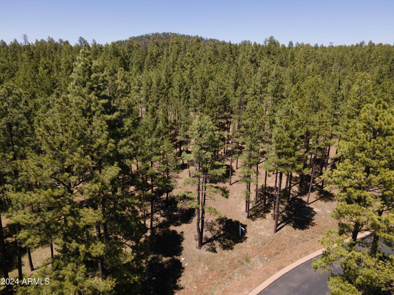 9586 Sierra Springs Way - Photo 1