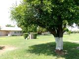 11029 Caron Drive - Photo 32
