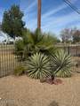 12236 Pebble Beach Drive - Photo 24