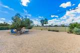 12236 Pebble Beach Drive - Photo 20