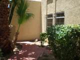 1009 Villa Nueva Drive - Photo 37