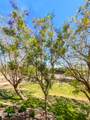 14250 Wigwam Boulevard - Photo 44