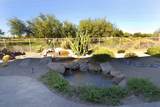 6894 Thirsty Cactus Lane - Photo 40