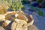 6894 Thirsty Cactus Lane - Photo 44