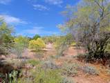 7122 Aloe Vera Drive - Photo 33
