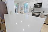 7122 Aloe Vera Drive - Photo 9