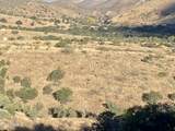 TBD Hannon Ranch Lane - Photo 52