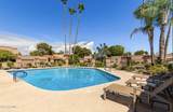 8144 Via De Viva - Photo 28