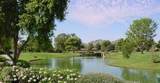 7506 Via Camello Del Sur - Photo 36