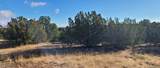 8686 Campbell Circle - Photo 12