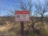 018 Dragoon Ranch Road - Photo 5
