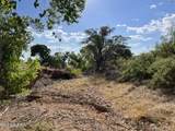 TBD Turkey Creek Road - Photo 8