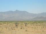 5700 Arzberger Road - Photo 1