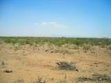 5700 Arzberger Road - Photo 4