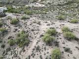 13906 White Face Canyon Drive - Photo 19