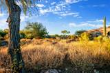 7274 Wilderness Trail - Photo 14